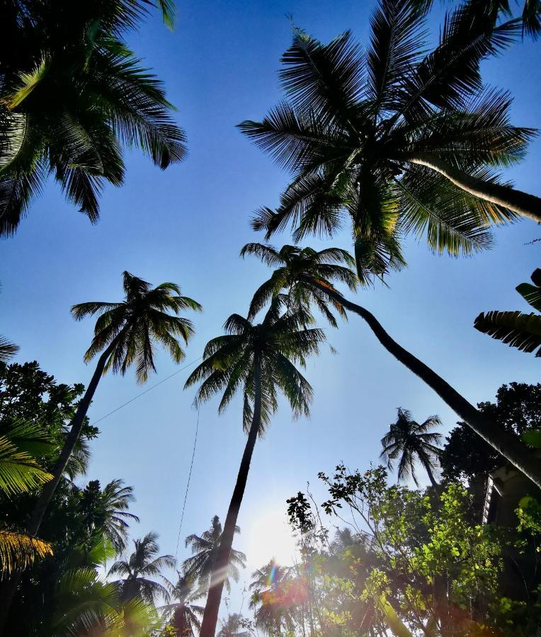 Isana Beach House Tangalle Exterior photo